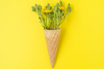 Food art creative concepts