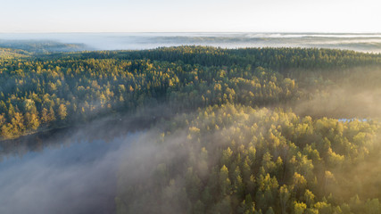 Thick glowing fog among spruce forest down in the valley. Wonderful nature background. Aerial viewpoint. Beautiful Finnish nature.