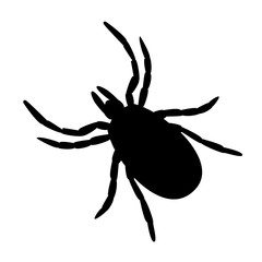 simple black and white tick symbol or icon on white background
