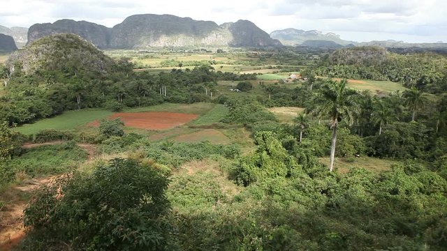 Nature fields in Vi&ntilde;ales region in Cuba