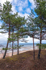Sandy coast , gulf of Riga, Baltic sea.