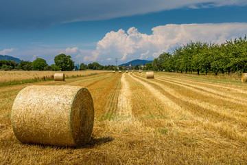Strohballen auf einem abgemähten Feld