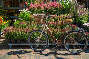 Fahrrad mit Korb vor blühenden Pflanztöpfen