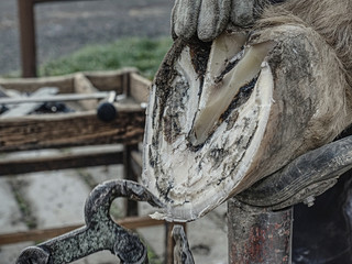 Blacksmith use tools for work. Pliers, hoof knife, rasp, whetstone, tongs, hammers