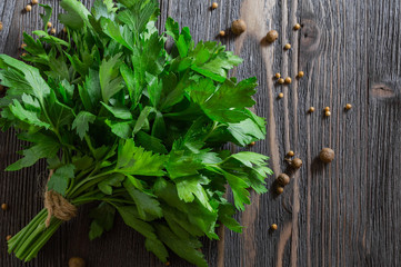 Bunch of fresh parsley and spices on dark wooden background.