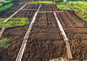 Wooden walkways on the land