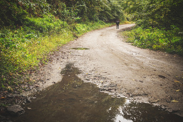 Hiker walks through the misty woods.