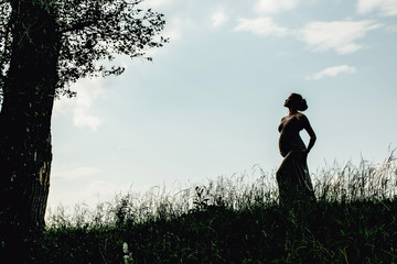 Silhouette of a pregnant girl on the sunset that stands