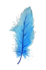 bird feather watercolor drawing