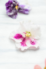 Homemade sugared or crystallized edible violet flowers on a white wooden rustic table. Selective focus with blurred background.