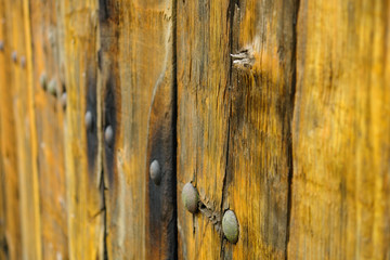 old wood background