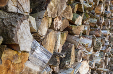 Wood logs stacked