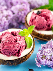 black currant ice cream in a bowl of coconut