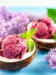 black currant ice cream in a bowl of coconut