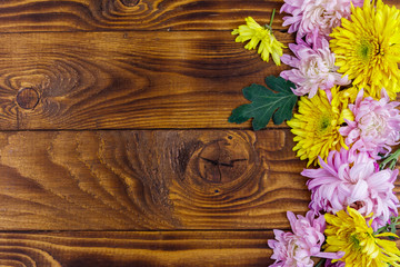 Beautiful chrysanthemums on wooden background. Top view, copy space