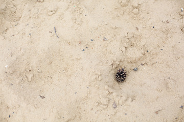 the texture of the sand with cone