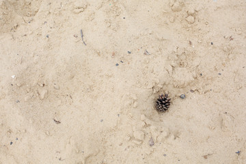 the texture of the sand with cone
