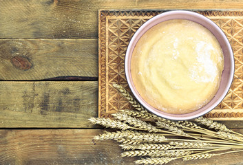 Dough in a pink bowl with bunch of wheat spikes nearby on rustic rough wooden background, overhead top view, flat lay, closeup, copy space, cooking bread and harvesting concept
