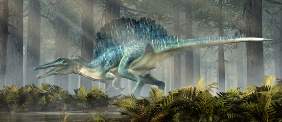 A spinosaurus in a forest.  Spinosaurus was semi-aquatic dinosaur from the Cretaceous period.  It was one of the largest carnivorous dinos ever.  3D Rendering - obrazy, fototapety, plakaty