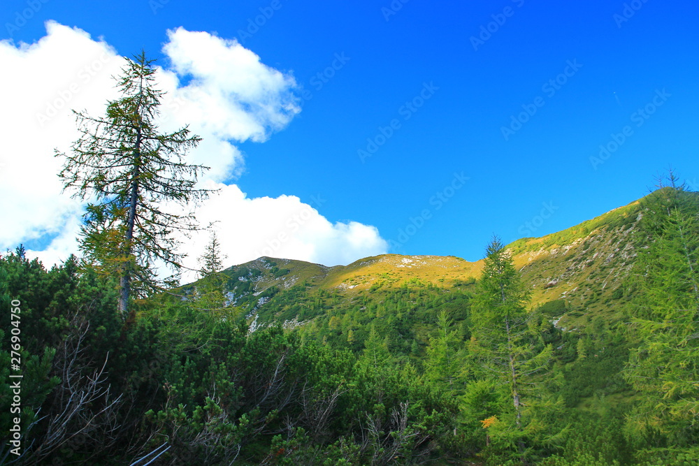 Sticker Green Slovenian Alps in the summer