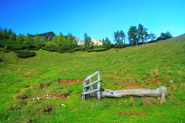 Green Slovenian Alps in the summer