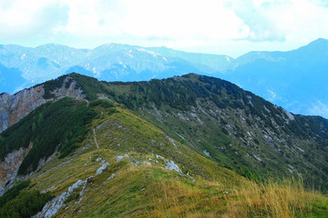 Green Slovenian Alps in the summer