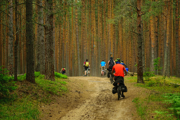 Bicyclists in the pine forest, Tver Region, Russia