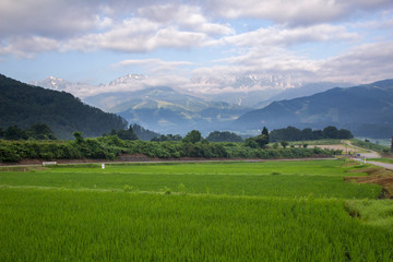 白馬村野平地区から望む早朝の北アルプス／長野県白馬村