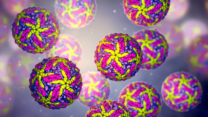 Zika viruses, the causative agent of Zika fever, transmitted by mosquito bite and causes microcephaly in fetus, 3D illustration