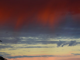 Fototapeta premium 20