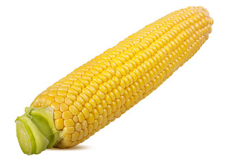 Corn isolated on white background