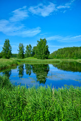 Fototapeta premium Sunny summer landscape with river. Green hills and meadows. Fields of lush green grass.