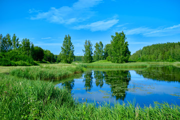 Sunny summer landscape with river. Green hills and meadows. Fields of lush green grass.