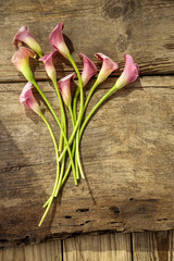 nine calla flowers on old wooden background mockup