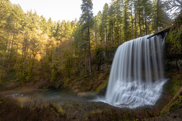 waterfall in forest in Oregon Silver Falls State Part