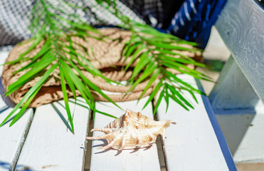 mollusk shell on a white bench, straw bag, palm leaves, shells. Beach holidays, travel, resort, eye protection