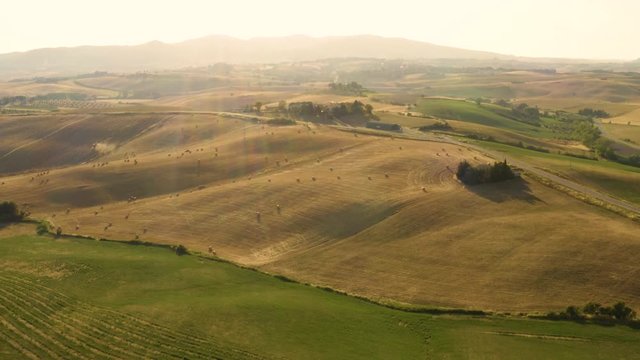 Infiniti campi di grano e balle di fieno giallo, vista aerea.