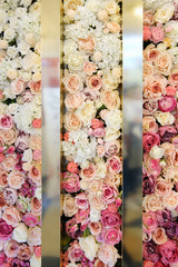 flower background of roses of different colors