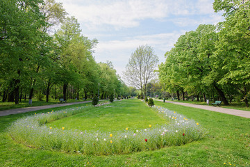 King Mihai I park