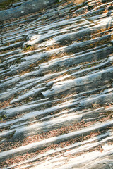 stone texture in british columbia
