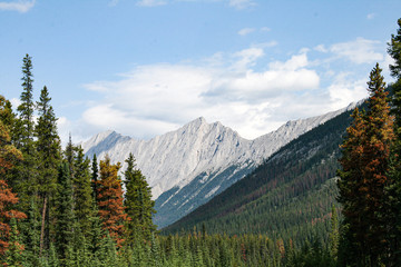 landscape in british columbia canada