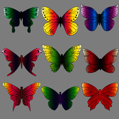 Fototapeta na wymiar a set of different butterflies in bright colors