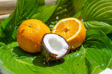 Fruits on green leaves are stained with water. Oranges, coconut. Fruit composition, healthy food, summer harvest, juices