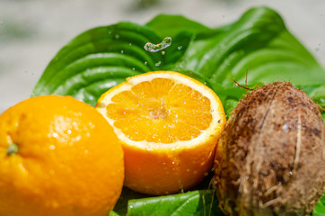 Fruits on green leaves are stained with water. Oranges, coconut. Fruit composition, healthy food, summer harvest, juices