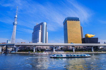 東京浅草 隅田川ウォータフロントの風景