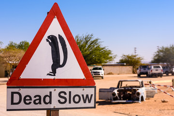 Sign warning drivers to be slow due to the presence of ground squirrels at Solitaire, Sesriem, Namibia