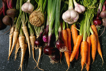 Variety of root garden vegetables carrot, garlic, purple onion, beetroot, parsnip and celery with tops over black texture background. Flat lay, space - obrazy, fototapety, plakaty