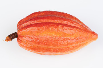 Orange color cacao pod