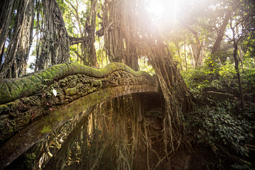 beautiful old bridge in Sacred Monkey Forest with moss