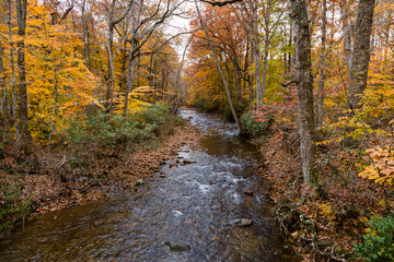 A Virginia stream in autumn 